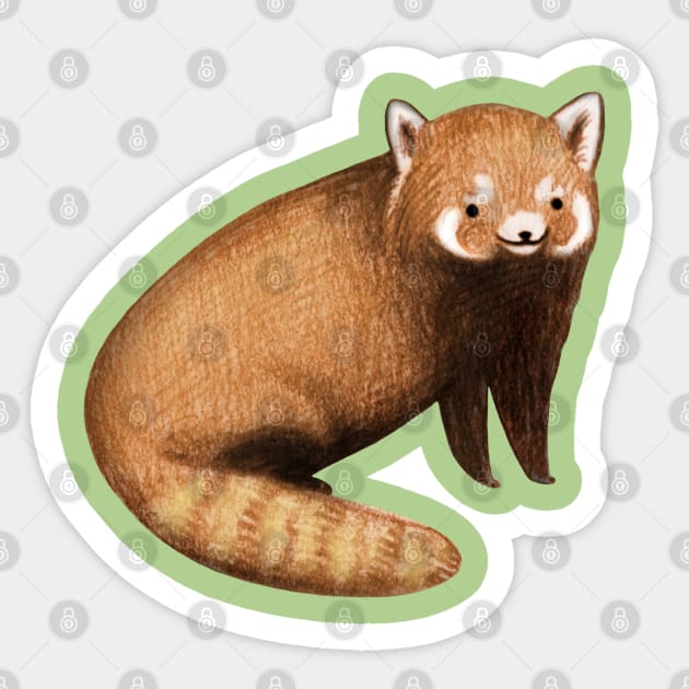 Red Panda Sticker by Sophie Corrigan